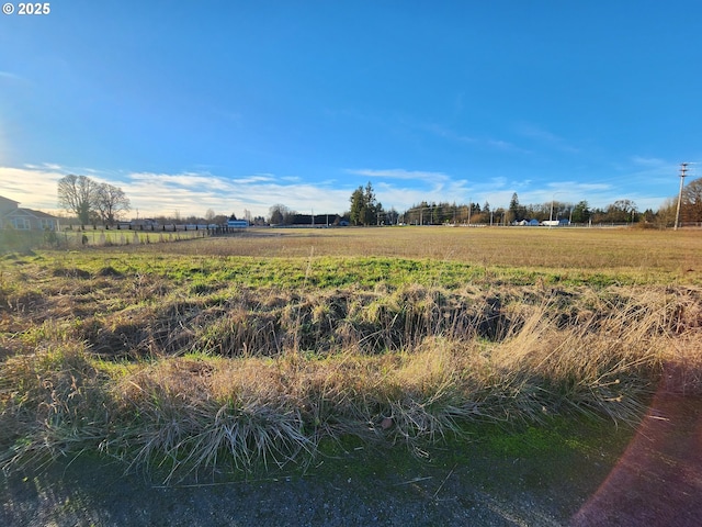 view of yard featuring a rural view