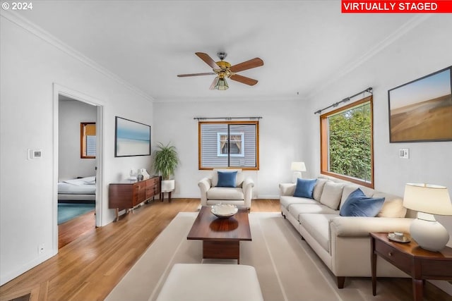 living room featuring ceiling fan, ornamental molding, and light wood-type flooring