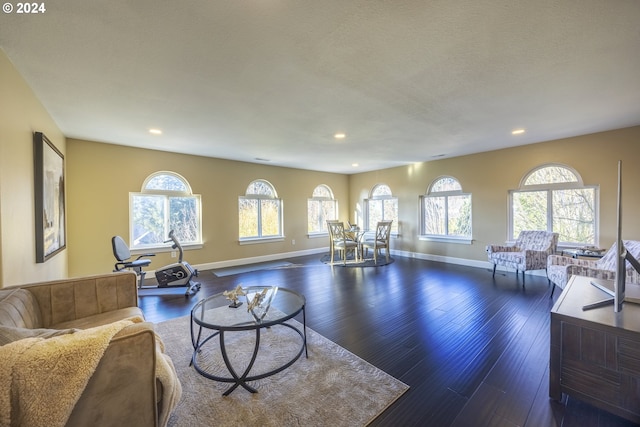 living room featuring a textured ceiling and dark hardwood / wood-style floors