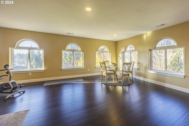 dining space featuring dark wood-type flooring and a wealth of natural light