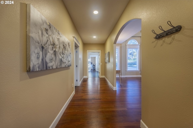 hallway featuring dark hardwood / wood-style flooring