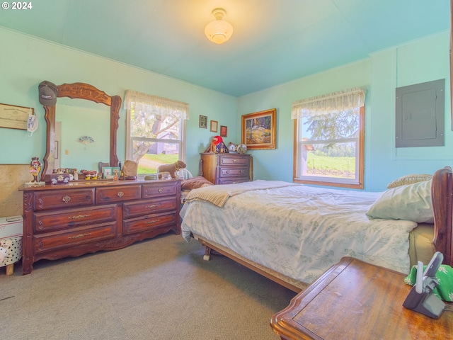 carpeted bedroom with multiple windows