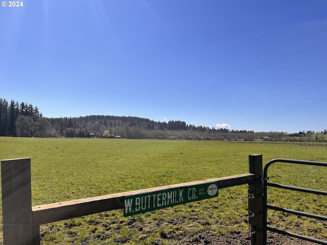 view of yard with a rural view