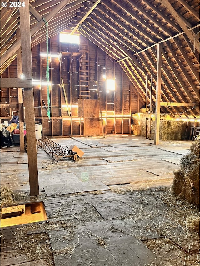 view of unfinished attic