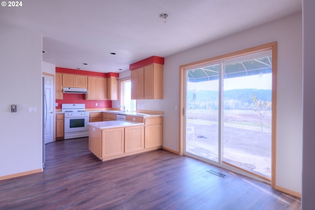 kitchen featuring plenty of natural light, dark wood-type flooring, white range, and light brown cabinets