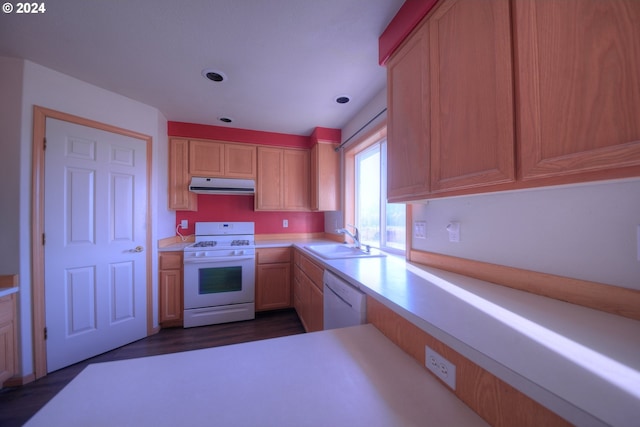 kitchen with white appliances, light brown cabinetry, sink, and dark hardwood / wood-style flooring