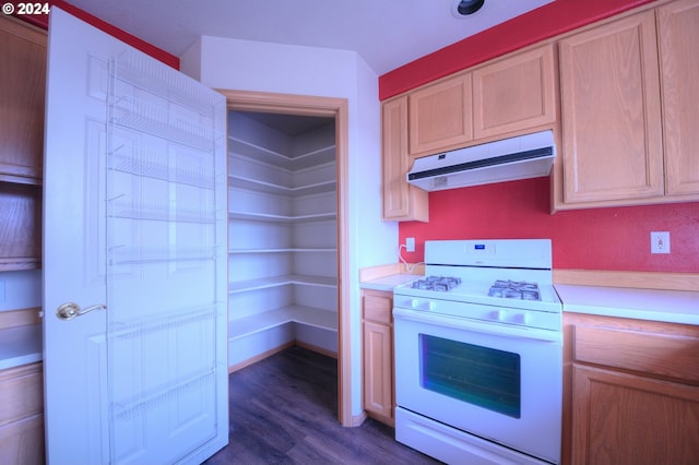 kitchen featuring white gas range and dark hardwood / wood-style flooring