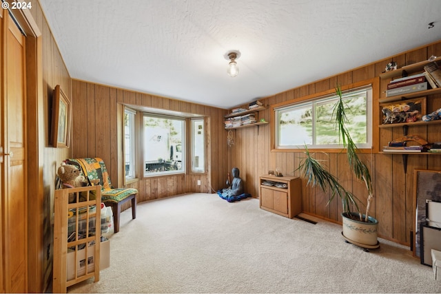 living area with wood walls, a textured ceiling, and light colored carpet