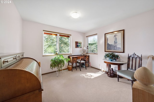 living area featuring light colored carpet