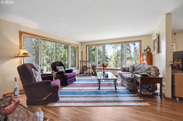 living room featuring hardwood / wood-style flooring