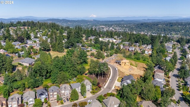 aerial view with a mountain view