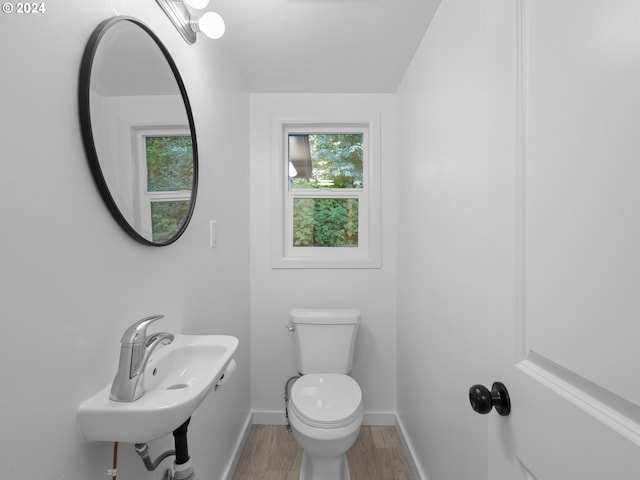 bathroom featuring sink, toilet, and hardwood / wood-style floors