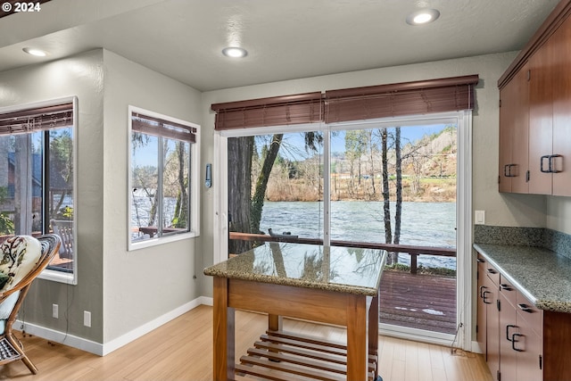 doorway featuring light hardwood / wood-style flooring, a healthy amount of sunlight, and a water view