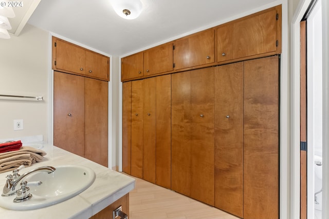 bathroom with sink and hardwood / wood-style flooring