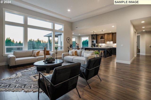 living room featuring a premium fireplace, plenty of natural light, and dark wood-type flooring