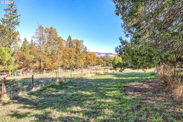 view of yard featuring a mountain view and a rural view