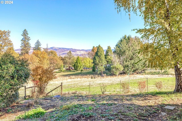 view of yard with a mountain view and a rural view