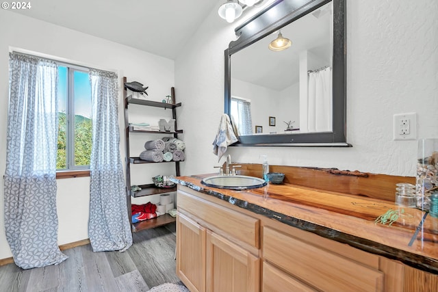 bathroom with hardwood / wood-style floors and vanity