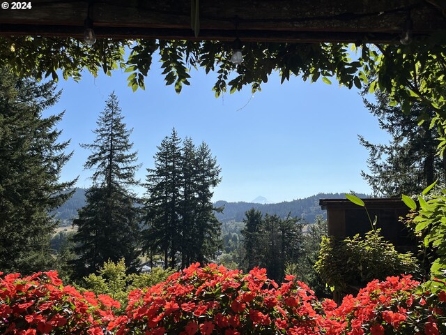 exterior space with a mountain view