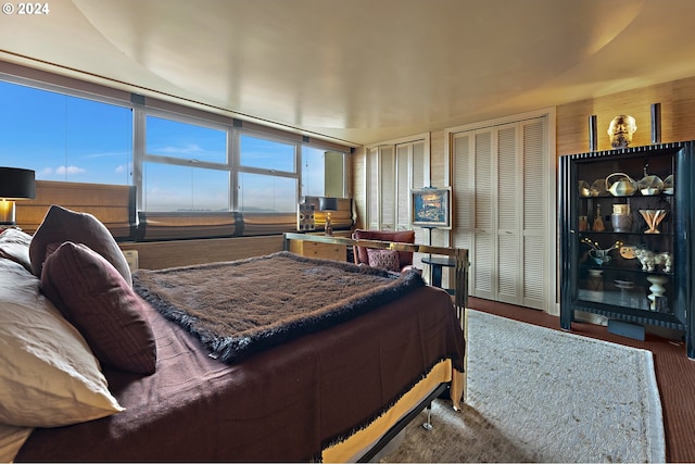 bedroom featuring carpet and two closets