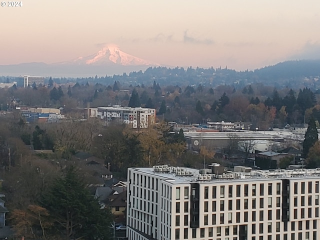 property's view of city with a mountain view