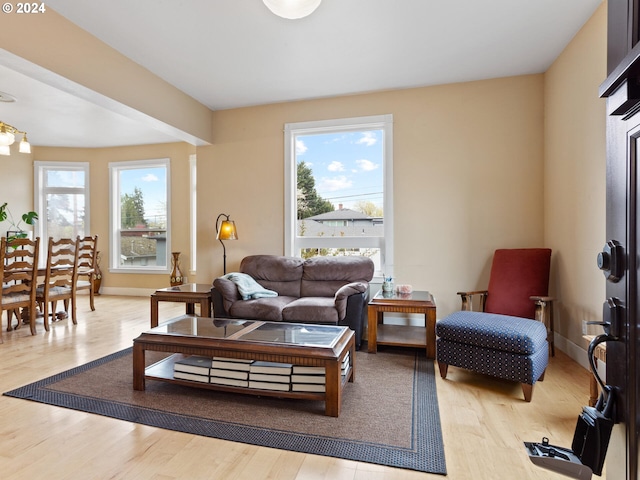 living room featuring wood finished floors, baseboards, and a wealth of natural light