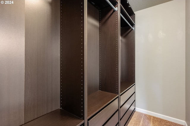 view of walk in closet