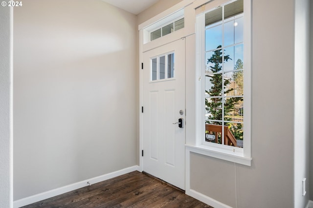 foyer entrance featuring dark hardwood / wood-style floors