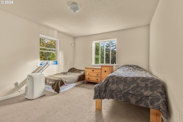 bedroom with multiple windows, a textured ceiling, and light colored carpet