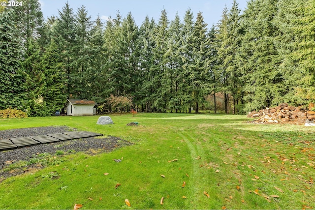 view of yard featuring a storage shed