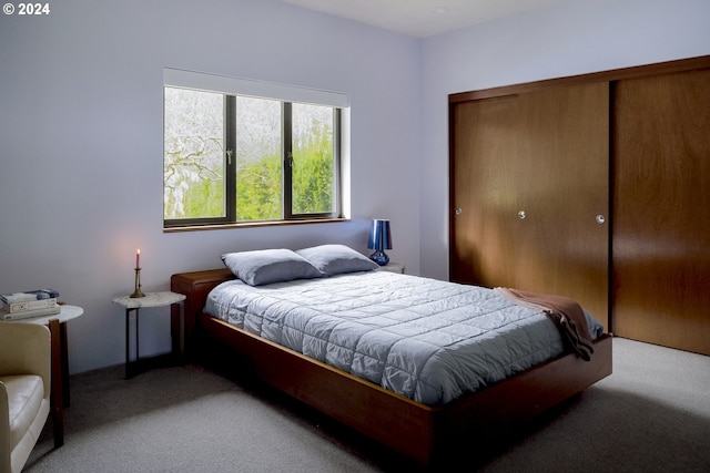 carpeted bedroom featuring a closet