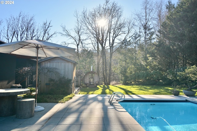 view of pool with a lawn, a patio area, and a storage unit