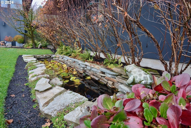 view of yard featuring a small pond