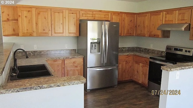 kitchen with stainless steel appliances, sink, and dark hardwood / wood-style flooring