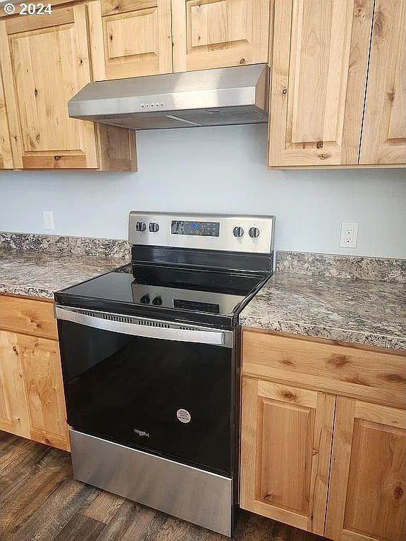 kitchen featuring light brown cabinets, dark wood-type flooring, ventilation hood, and electric stove