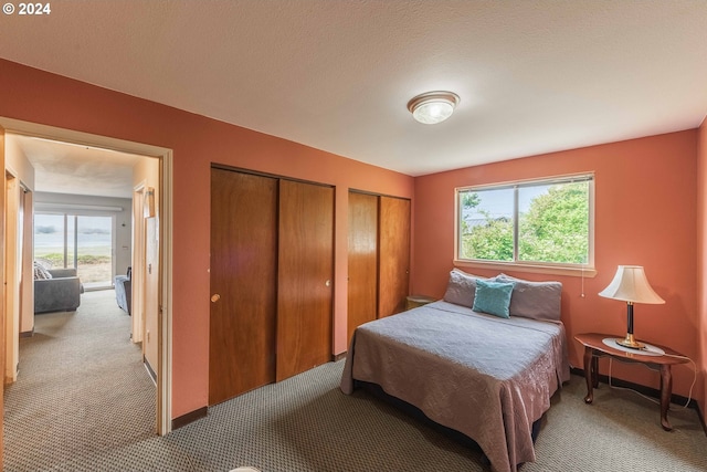 carpeted bedroom with multiple closets and multiple windows