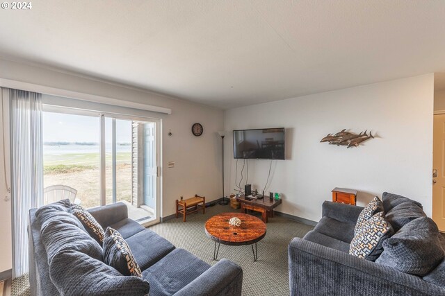 living room with carpet floors