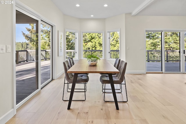 dining space with plenty of natural light and light hardwood / wood-style floors