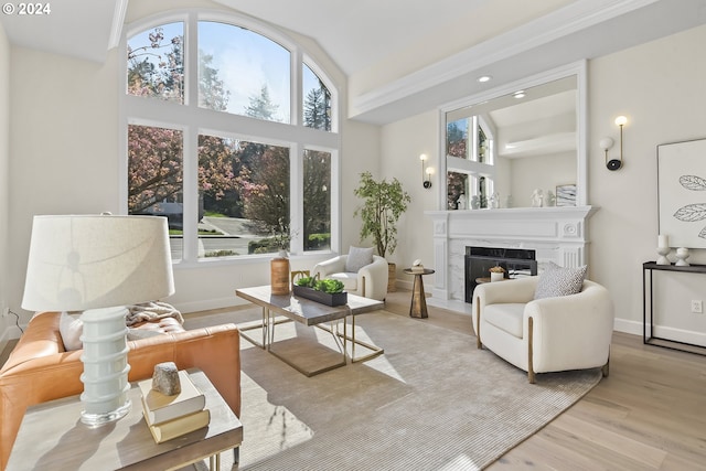 interior space featuring a high end fireplace, high vaulted ceiling, light wood-type flooring, and a wealth of natural light