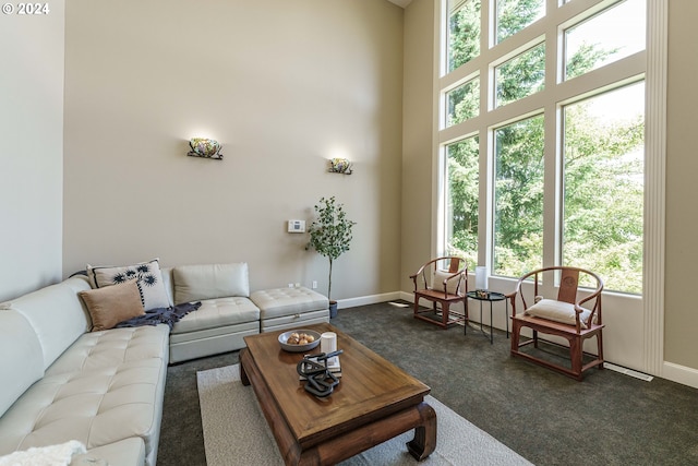 living room with dark carpet