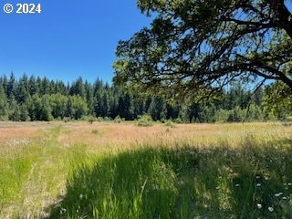 725 Snowden Rd, White Salmon, WA 98672 - view of tree filled area