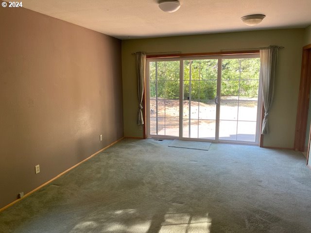 spare room with carpet flooring