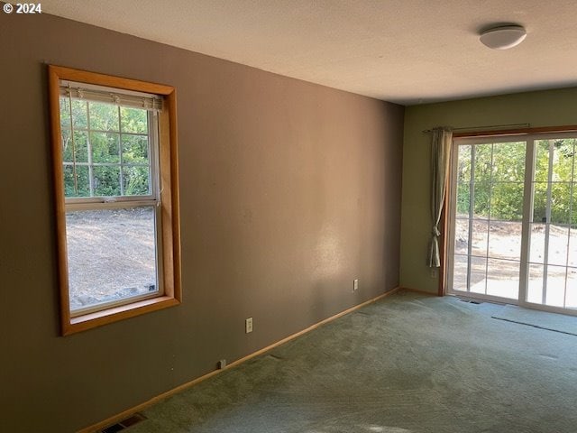 725 Snowden Rd, White Salmon, WA 98672 - spare room featuring carpet flooring, plenty of natural light, and baseboards
