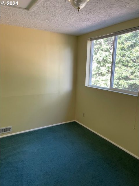 carpeted spare room featuring a textured ceiling