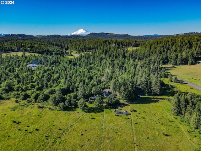 drone / aerial view with a mountain view