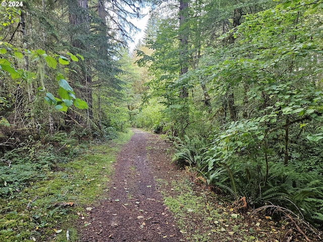 view of local wilderness