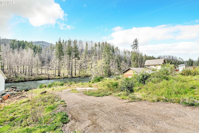 47828 Mckenzie Hwy, Vida OR, 97488 land for sale