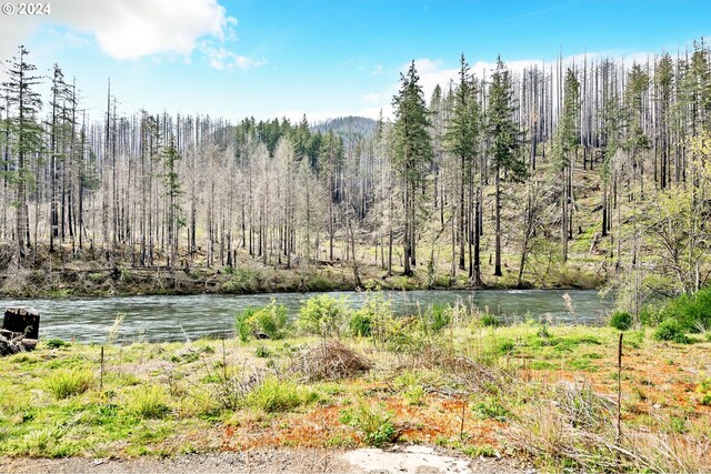 47828 Mckenzie Hwy, Vida, OR 97488