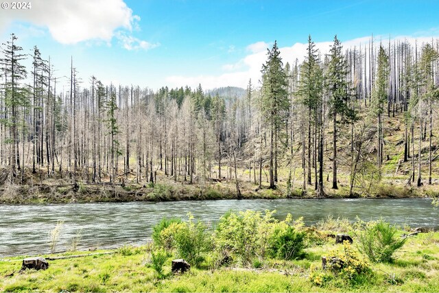 47828 Mckenzie Hwy, Vida, OR 97488