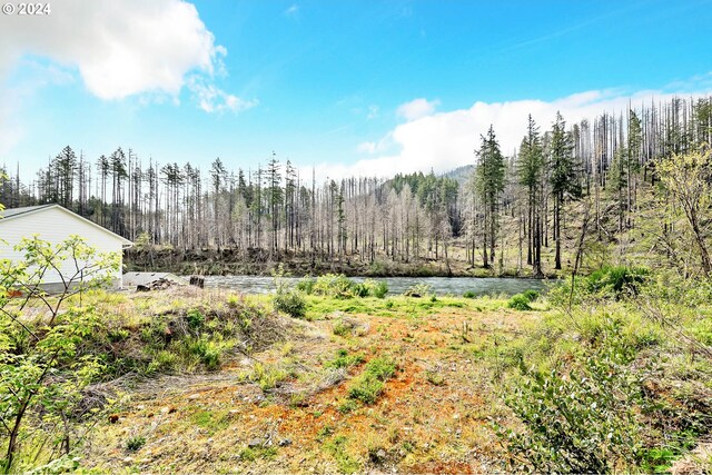 47828 Mckenzie Hwy, Vida, OR 97488